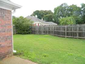 Back yard