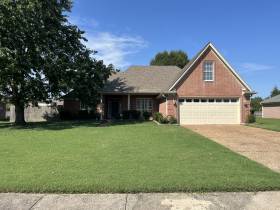 8488 Wolf Valley Lane - for rent 38133