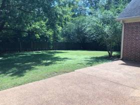 1318 Squire Dudney Dr. - for rent 38017
