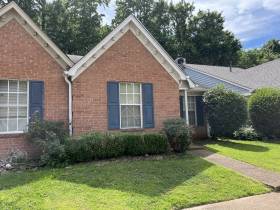 1508 Beaver Tr Dr - for rent 38016