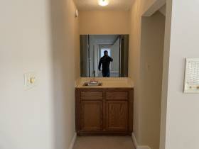 384 Sherburne Cv - for rent 38018