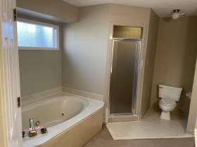 384 Sherburne Cv - for rent 38018