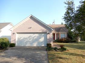 Rent Cordova 38018