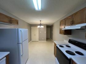 1096 Sunstar Dr. - for rent 38018