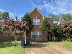 Rental House Cordova 38016