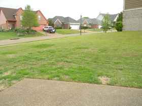 2740 Green Turtle Tr - for rent 38016