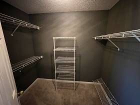 384 Walnut Trace Dr - for rent 38018