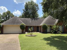 433 Spruce Glen Dr - for rent 38018