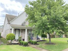 8516 Shady Elm Drive - for rent 38018