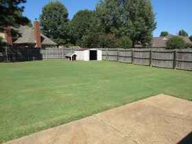 9480 Grove Rd - for rent 38016