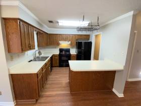 3061 Ultragreen Ln - for rent 38002