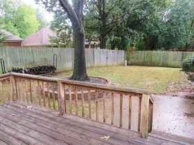 Back Deck & Yard