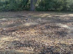 1880 Pinedale - for rent 38127