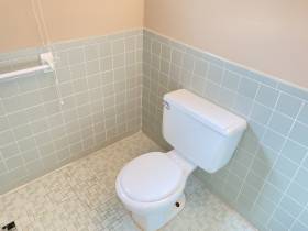 1982 Goldbrier Lane - for rent 38134