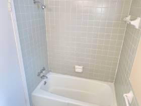 1982 Goldbrier Lane - for rent 38134