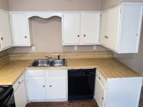 1982 Goldbrier Lane - for rent 38134