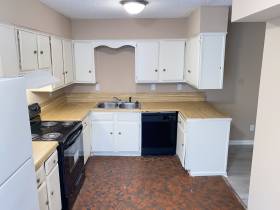 1982 Goldbrier Lane - for rent 38134