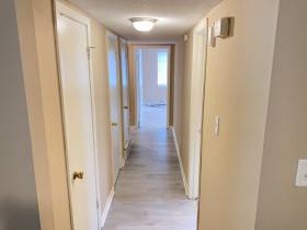 1982 Goldbrier Lane - for rent 38134