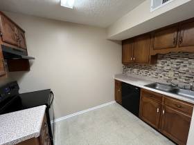 3729 Wyndance Cove - for rent 38135