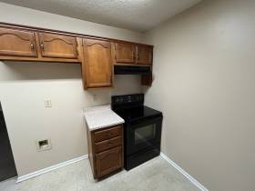 3729 Wyndance Cove - for rent 38135