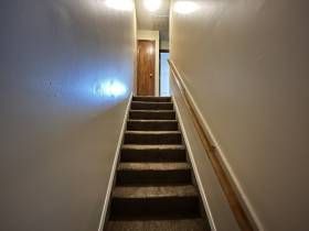 3729 Wyndance Cove - for rent 38135