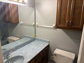 3913 Oak Branch Cir E - for rent 38135