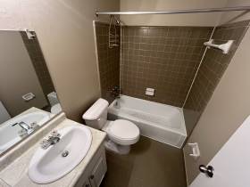 4309 Startouch Cove - for rent 38141