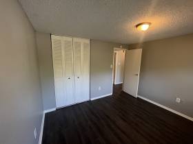 4325 Willow Park Cove - for rent 38141