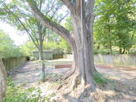 451 S Reese St - for rent 38111