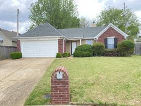6496 Amberwood Cv - for rent 38141