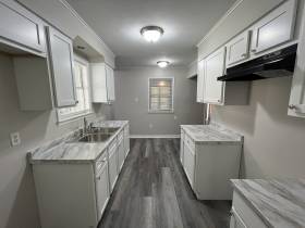 1343 Dove St - for rent 38127