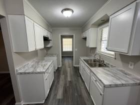 1343 Dove St - for rent 38127