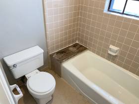 1447 Treehaven Cove - for rent 38018