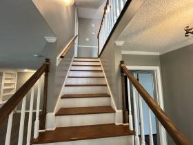 1447 Treehaven Cove - for rent 38018