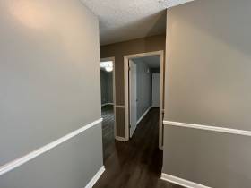 1447 Treehaven Cove - for rent 38018