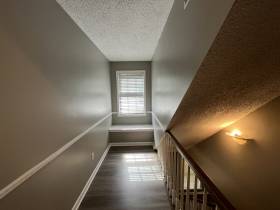 1447 Treehaven Cove - for rent 38018