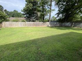 1447 Treehaven Cove - for rent 38018