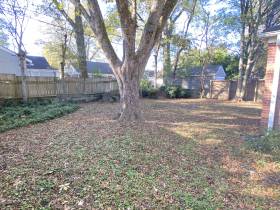 3529 Kenwood Ave - for rent 38122