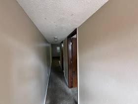 3729 Wyndance Cove - for rent 38135