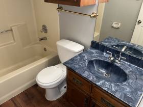 3913 Oak Branch Cir E - for rent 38135