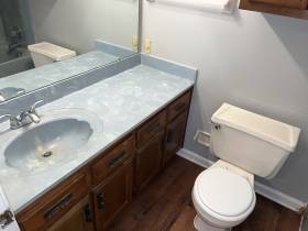 3913 Oak Branch Cir E - for rent 38135