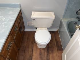 3913 Oak Branch Cir E - for rent 38135