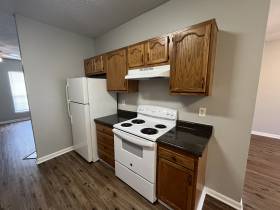 3935 Autumn Harvest Ln - for rent 38125
