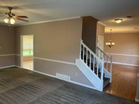 4003 N Tonya Marie Cv - for rent 38135