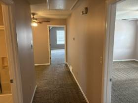 4003 N Tonya Marie Cv - for rent 38135