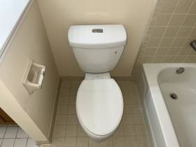 4155 Tunbridge Pl. - for rent 38141