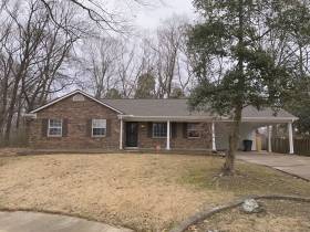 4230 Oxbow Cove - for rent 38128