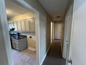 4309 Startouch Cove - for rent 38141