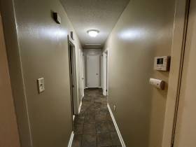 4450 Tena Dr - for rent 38128