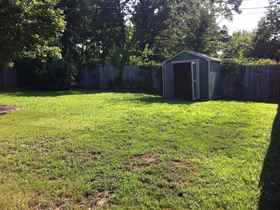 back yard